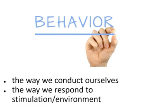 a hand writes the word behavior